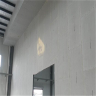 双城宁波ALC板|EPS加气板隔墙与混凝土整浇联接的实验研讨